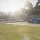Illustration for article titled The 2017 Oppositelock Forza 6 2.4 Hours Of Le Mans: Results And Replay